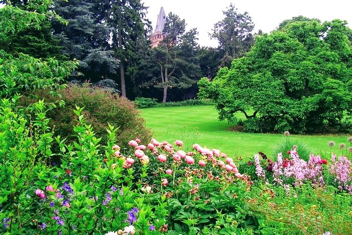 Hermannshof in Weinheim BLumenmeer im Sommer